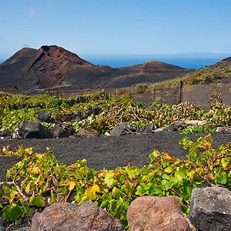 Casa Bepe Apartment *